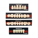 Dente Delara 30U Superior A2 - Kulzer